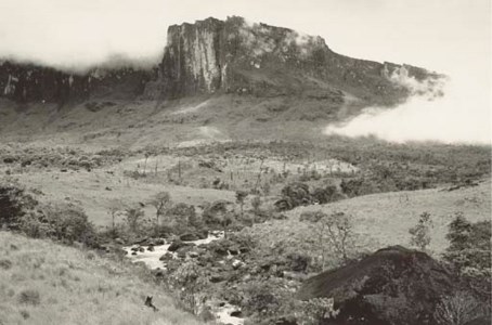Untitled, 1977-1985