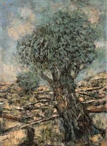 Olive Tree