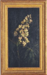 Horse Chestnut Branch in Bloom