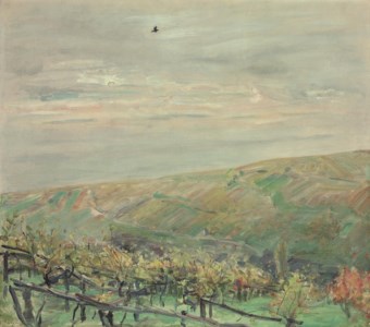 Landschaft mit fliegendem Vogel (Blick ins Leinsweiler Tal im Herbst)