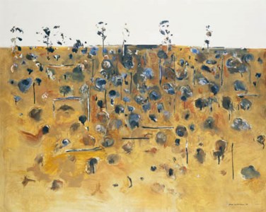 Upwey Landscape