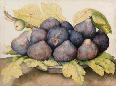 A plate of figs