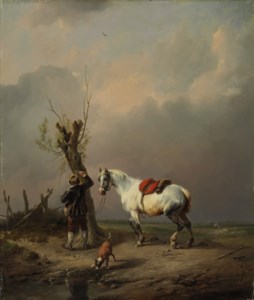 A white horse, dog and rider at rest