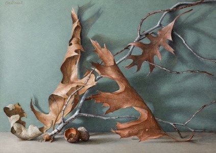 Winter Still Life