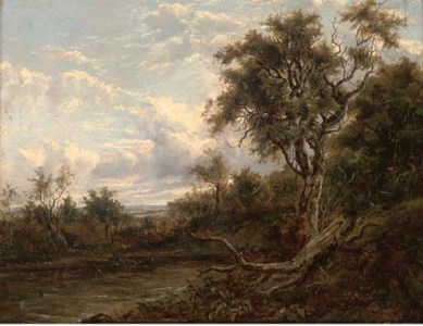A fallen branch on a river bank