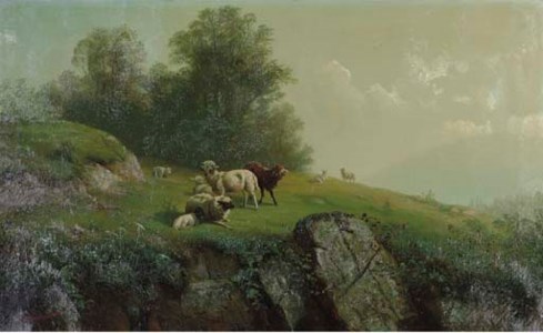 Sheep on a Rocky Hillside