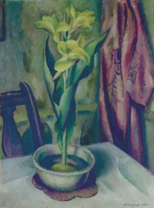 Yellow Calla Lily