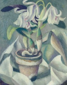 White Orchids
