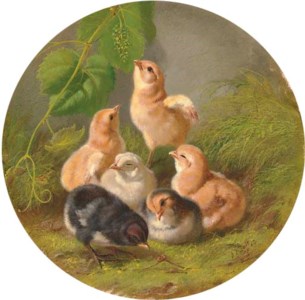 Chicks