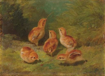 Young Grouse