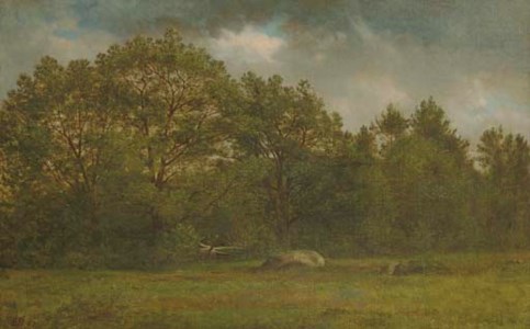 New Hampshire Landscape