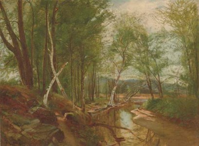 Birch Trees Along a Tributary