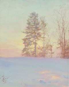 Spruce Tree