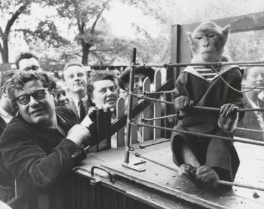Les Animaux Supérieurs, 1954