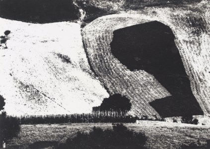 Landscape, 1982
