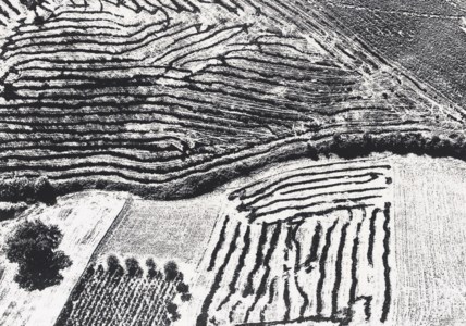 Landscape, 1955-1980