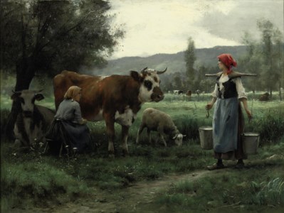 Ricolle du lait en poture: Milking Time