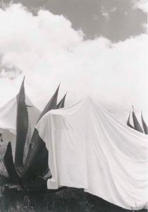 Las Lavandras, 1932