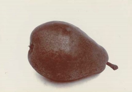 Pear Emily Heyst, 1901-1902
