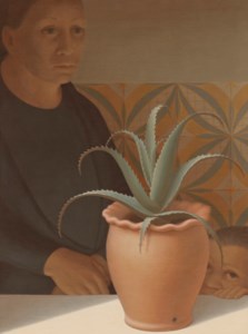 Pot of Aloes