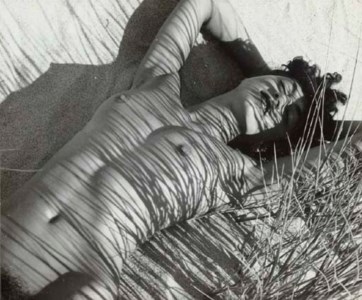 Nude in Reeds, c. 1940