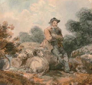 A shepherd and his flock