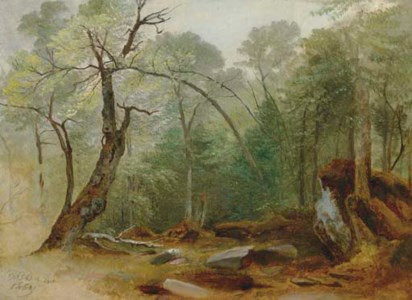 Study in the Woods