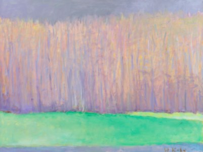 Forest's Edge