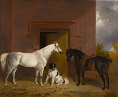 White and Brown Horse in a Farmyard with Dog