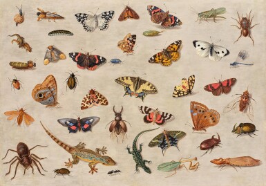 Jan van Kessel the Elder, Butterflies, Spiders, Lizards, a Beetle, an Ant, a Grasshopper, and Other Insects