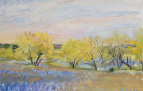Bluebonnets + Mesquite