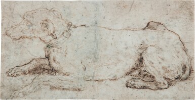 A dog wearing a collar decorated with scallop shells