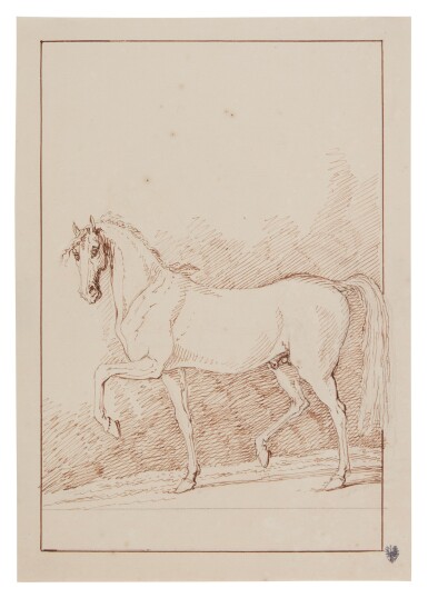 A horse