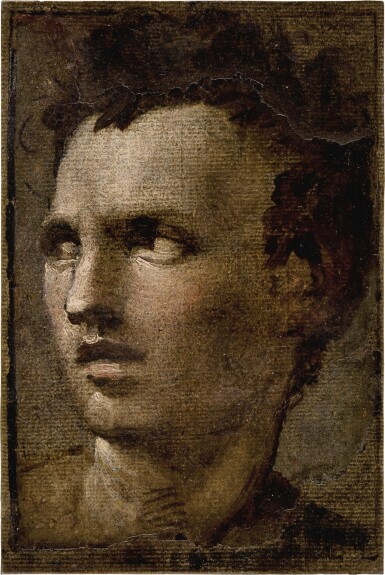 Head of a young man looking to the left