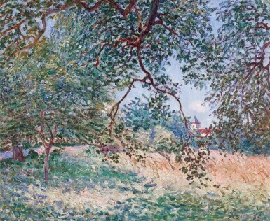 Lisière de forêt au printemps