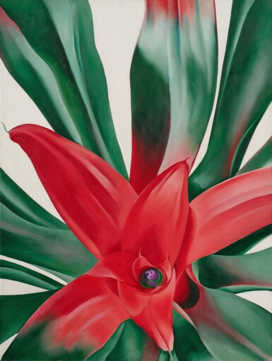 Georgia O'Keeffe, Leaves of a Plant