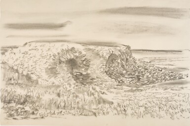 Untitled (Brush with Tunnel)
