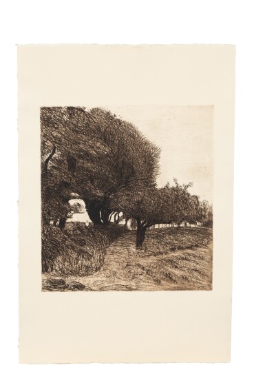 Sentier à travers les arbres