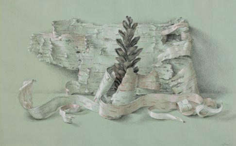 Pine Cone & Birch Bark