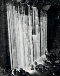 Untitled, 1998
