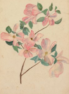 Dogwood Branch