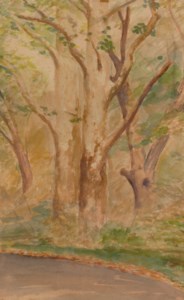 Sycamores, Main Drive, Laurelton Hall