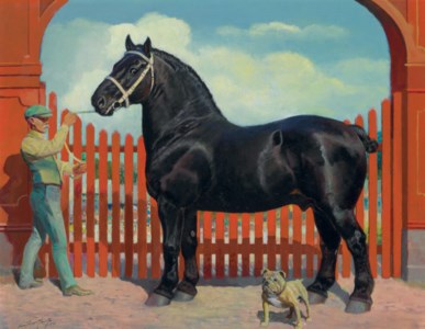 Shire Horse