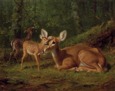 Maternal Affection