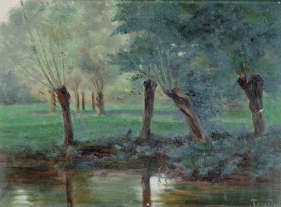 A quiet lake landscape