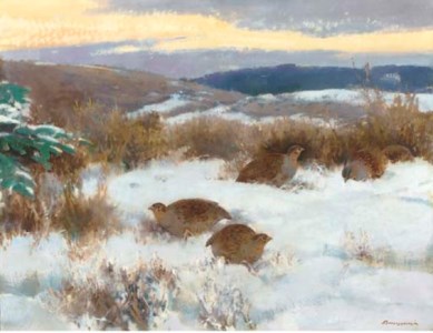 Kwartels in de sneeuw - Quails in the snow