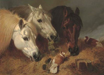Horses feeding with two ornamental pigeons at a manger
