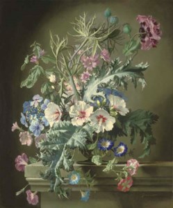 Mallow and Thistle