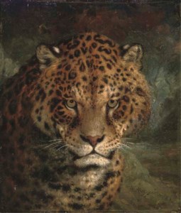A jaguar
