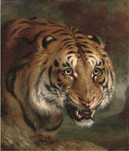 A Bengal tiger
